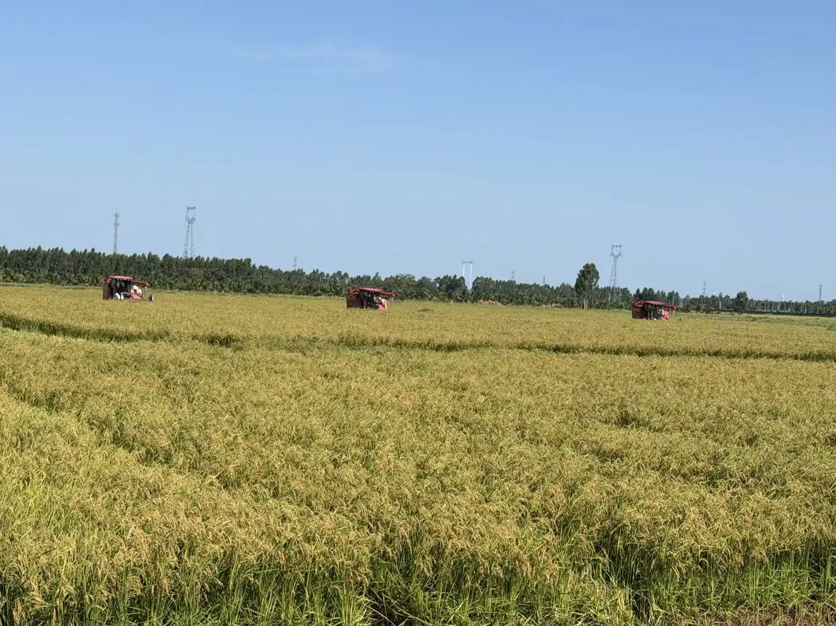 Hainan Yuankang Agricultural Technology Co., Ltd. - Autumn Harvest in Action