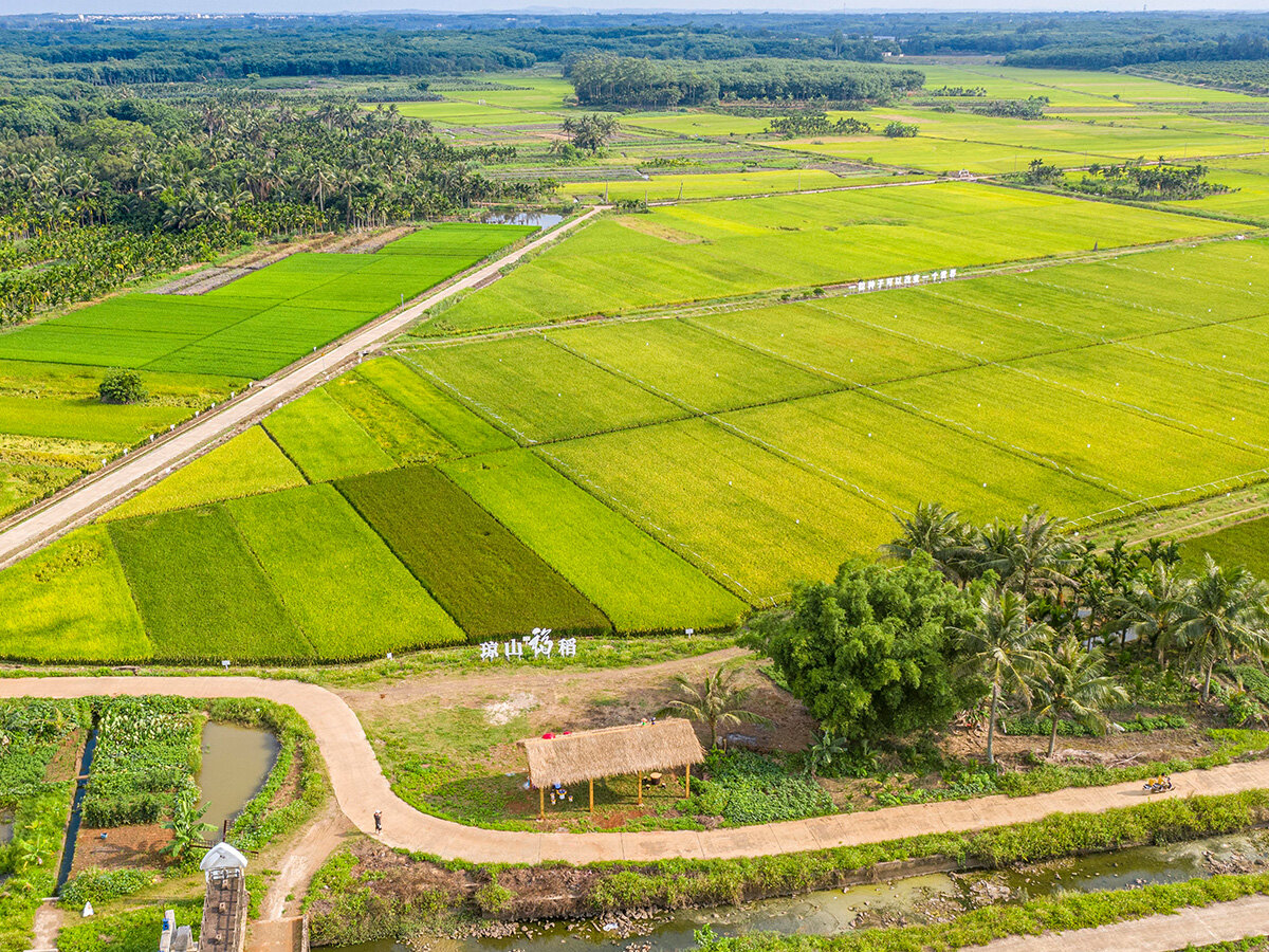 Hainan Wutianjia Agricultural Technology Co., Ltd. - Cultivation Base