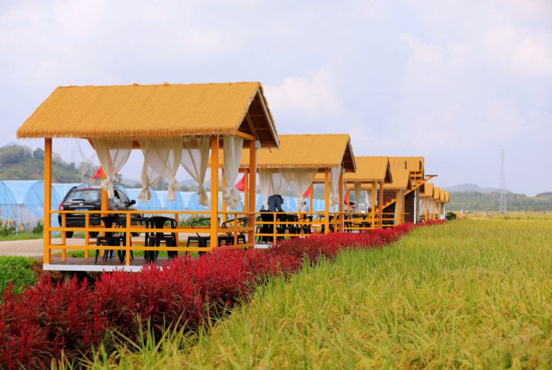 Hainan Fenghaoyang Agricultural Technology Co., Ltd. - Base
