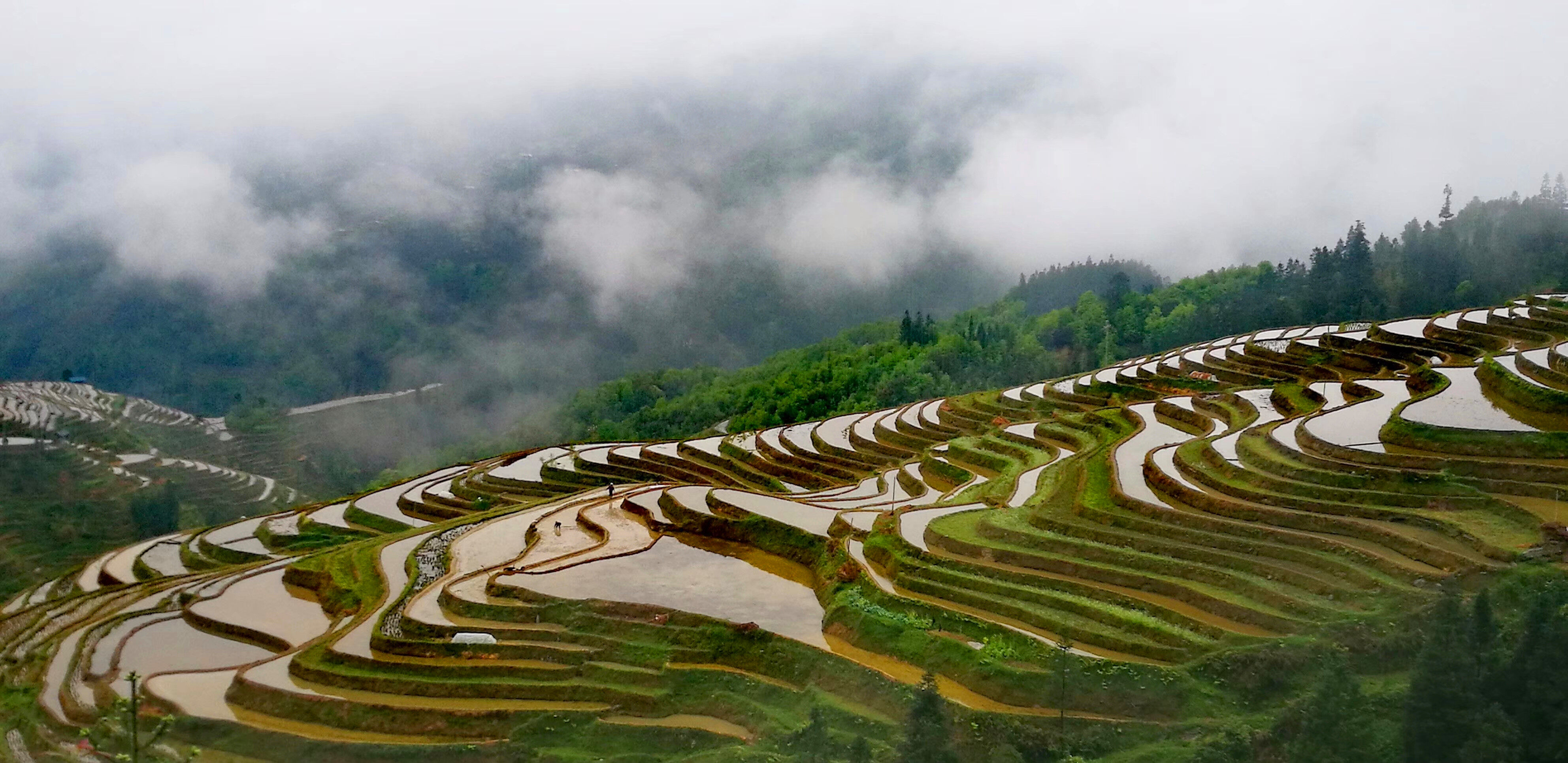 Guizhou Panorama