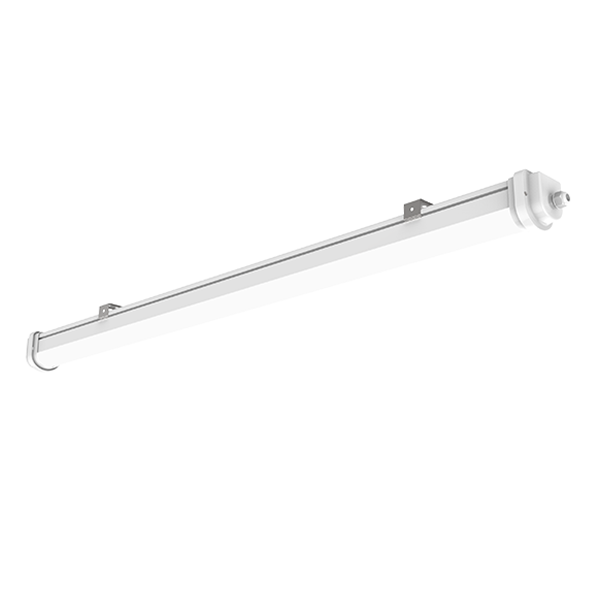 20W Tri-proof Light