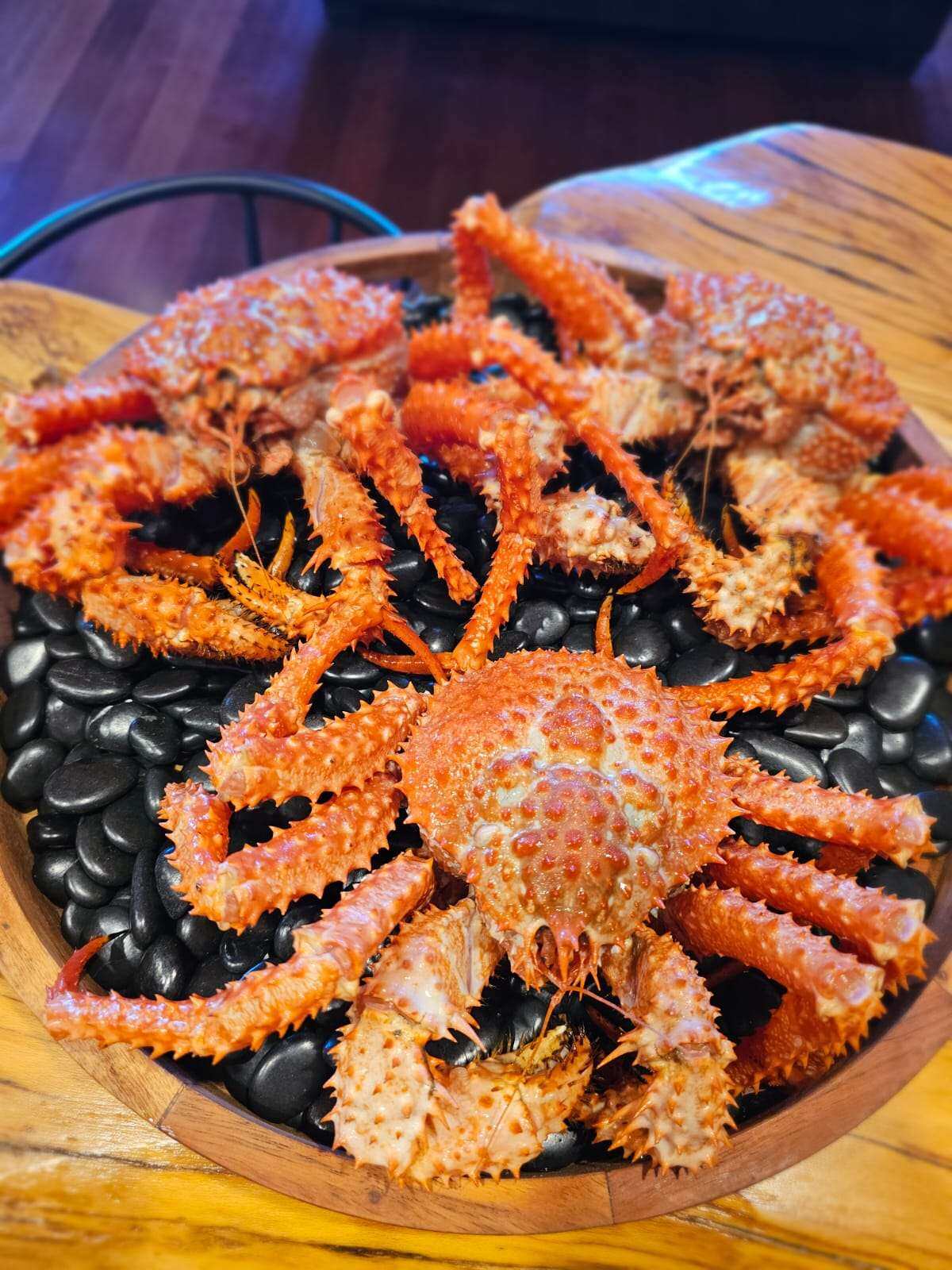船冻新西兰多刺帝王蟹