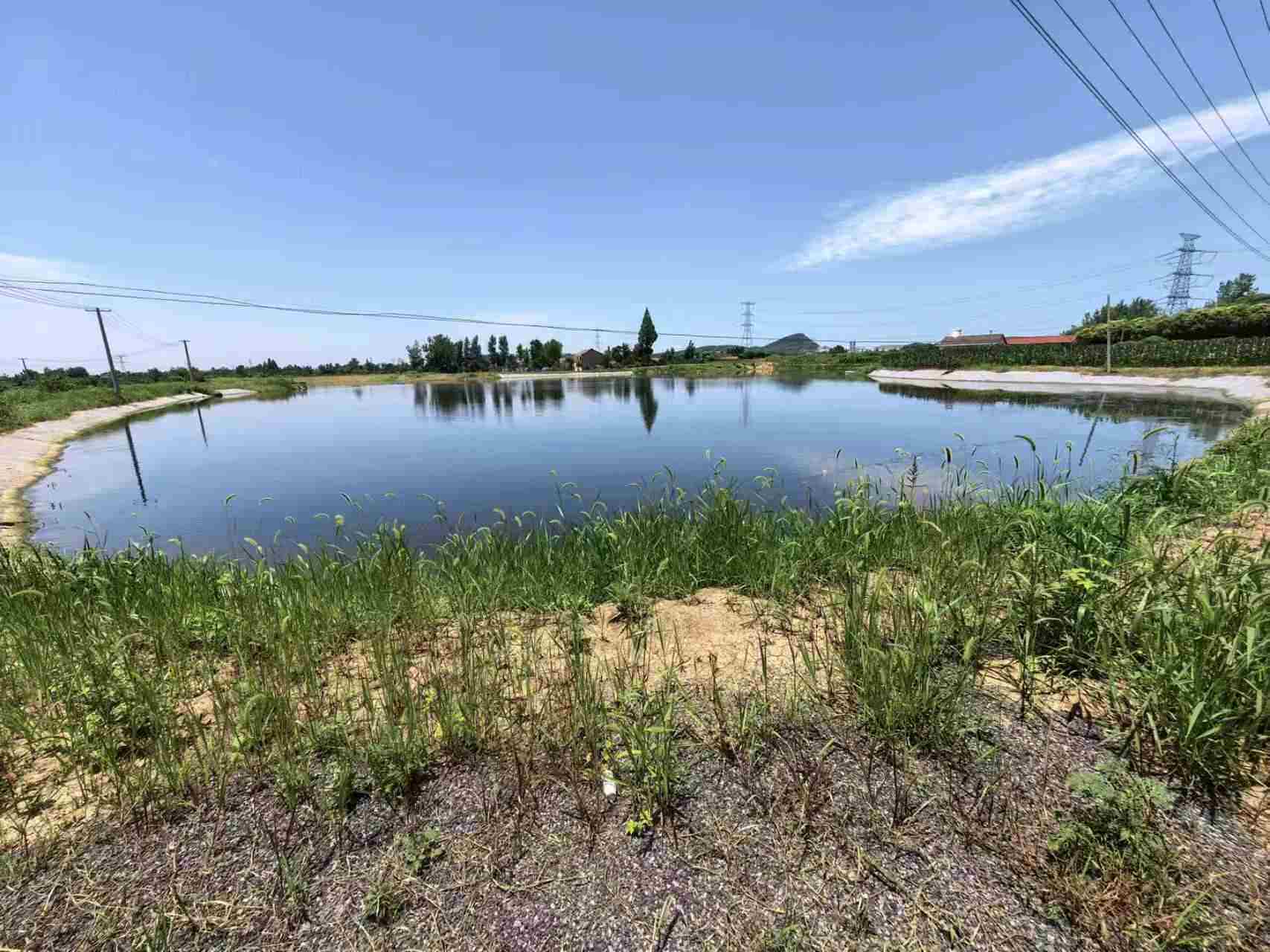 湖北玖坤水泥毯水产养殖鱼塘完工满一年实地回访实拍