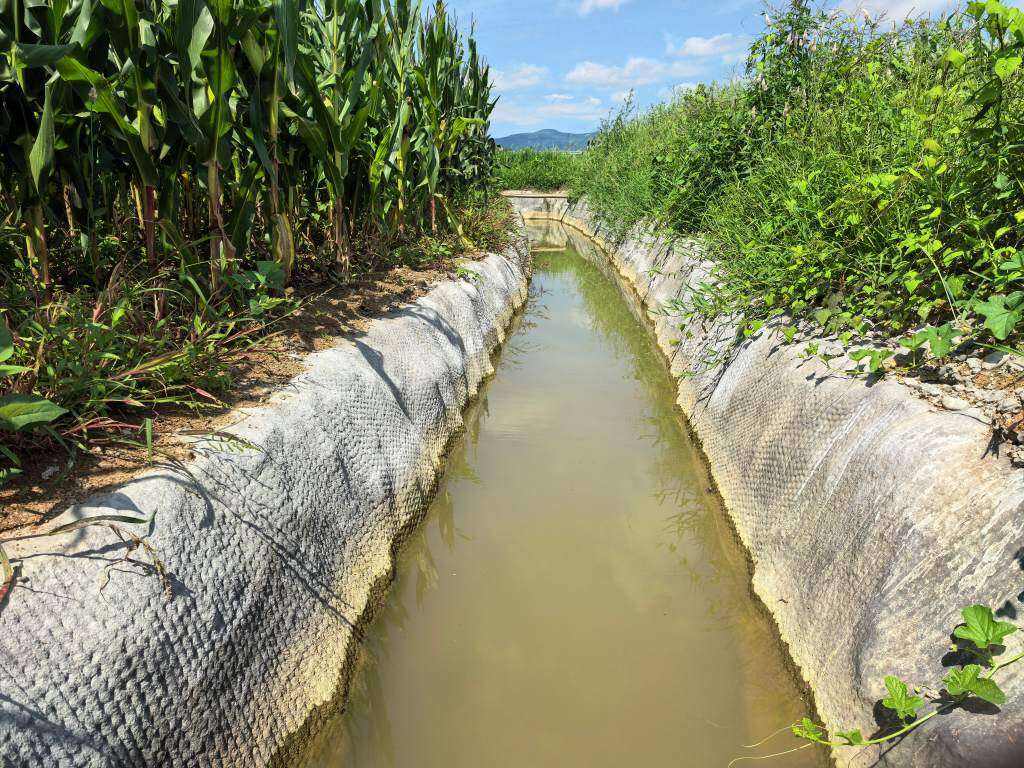湖北荆门农田水渠水泥毯护坡一年后实拍,水渠两侧护坡完整,渠水清澈,农田灌溉场景稳定