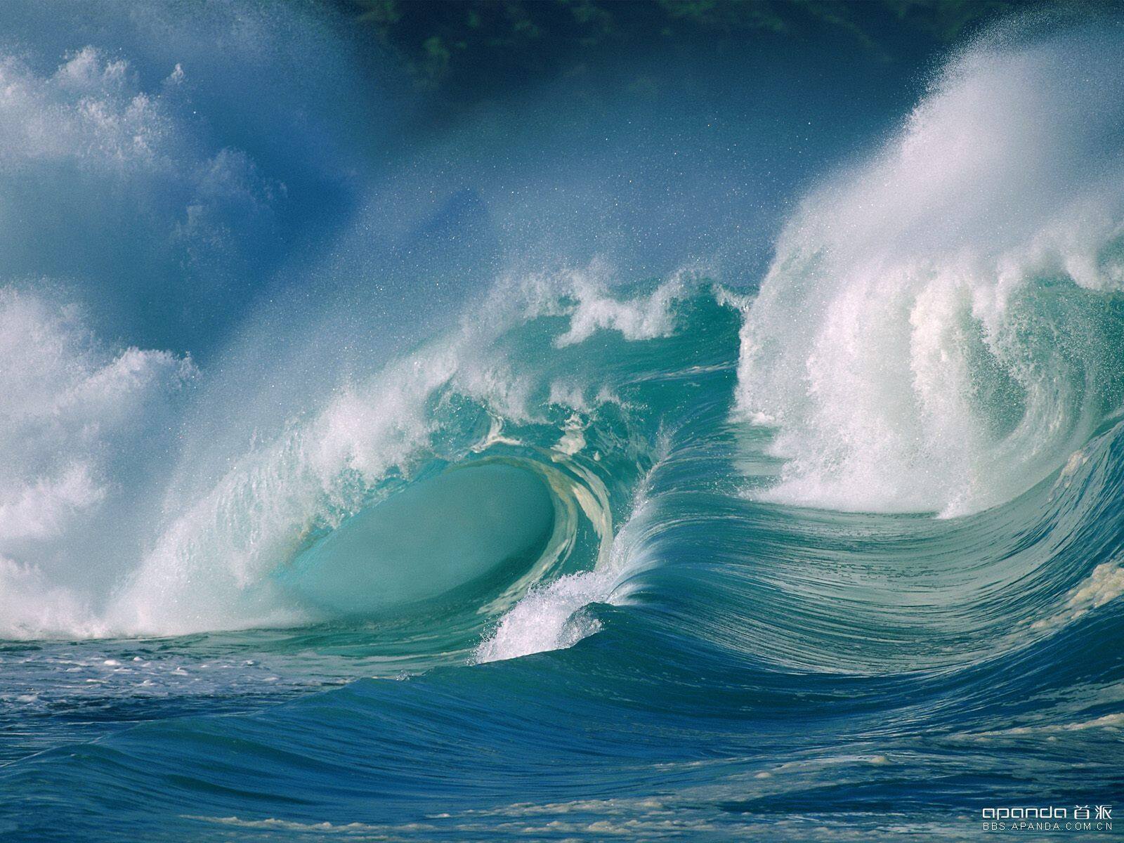 wave