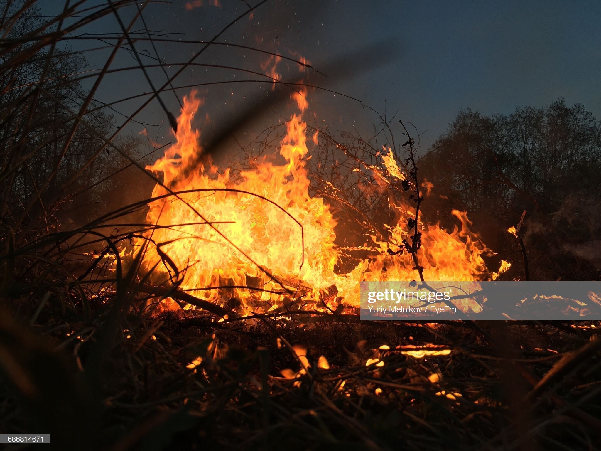 Fire