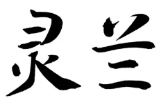 灵兰