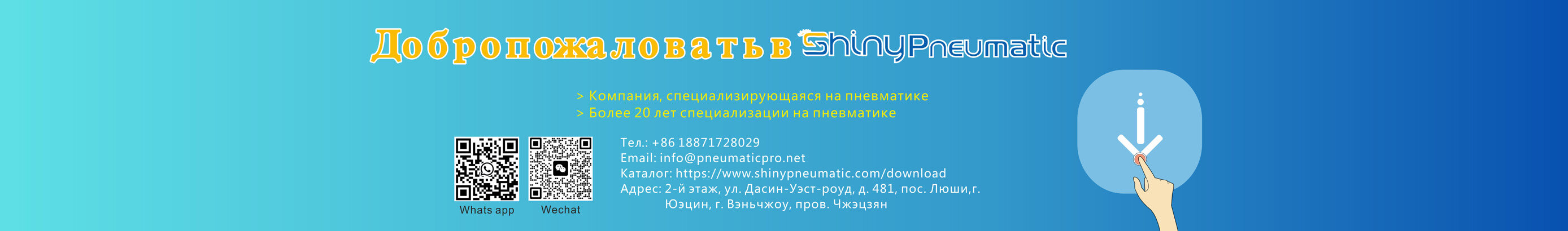 Загрузки Shinyee