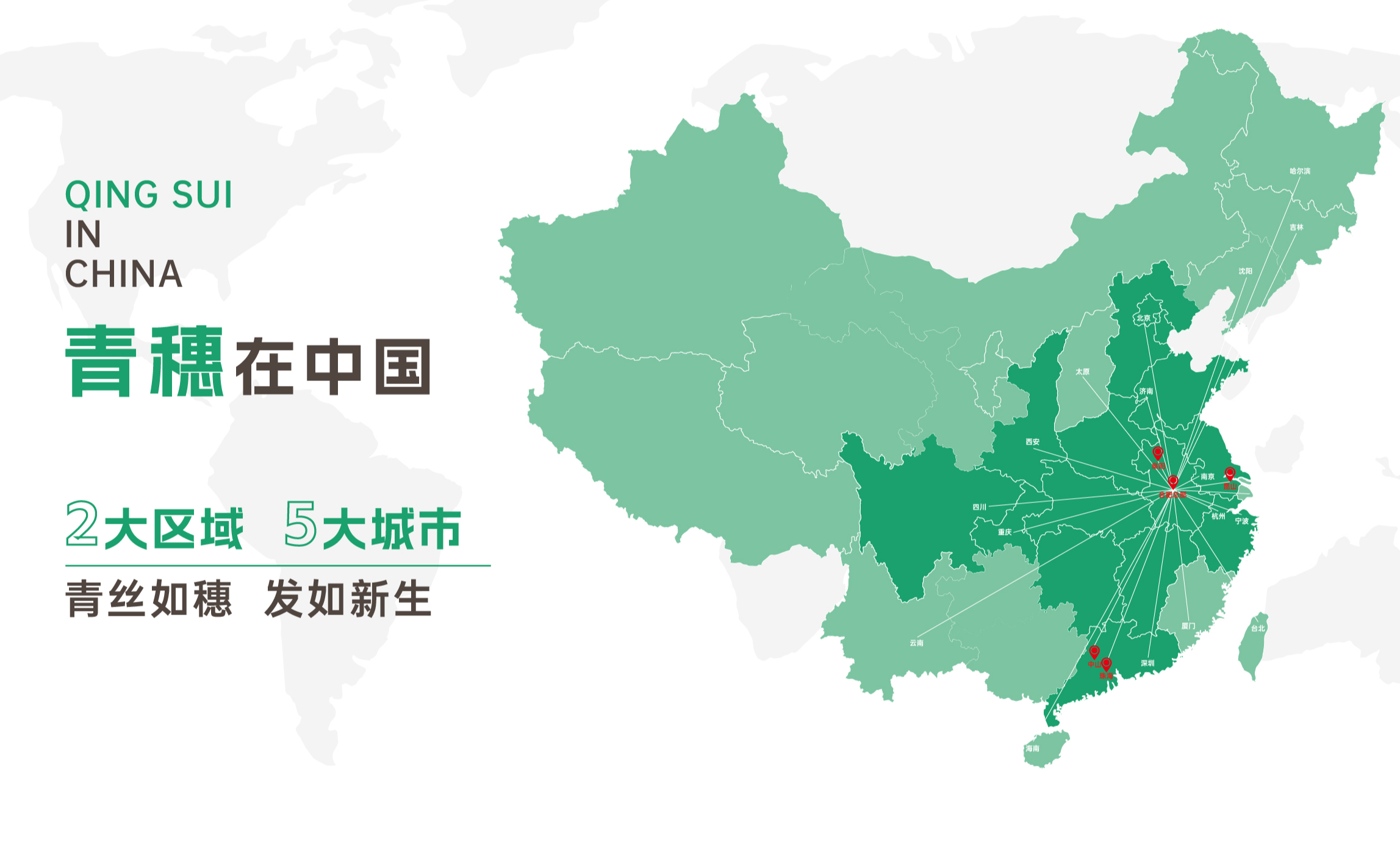 关于青穗