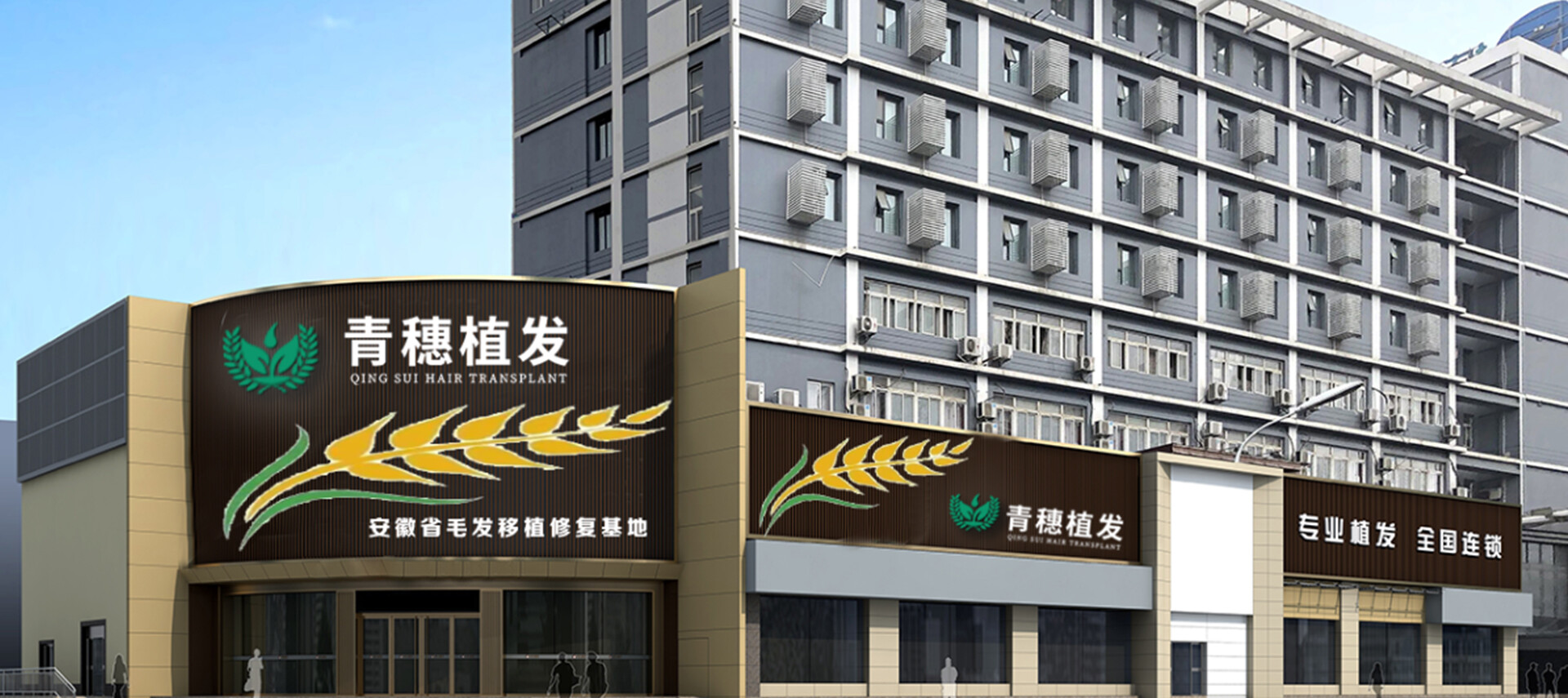 专业医生进行头皮检测