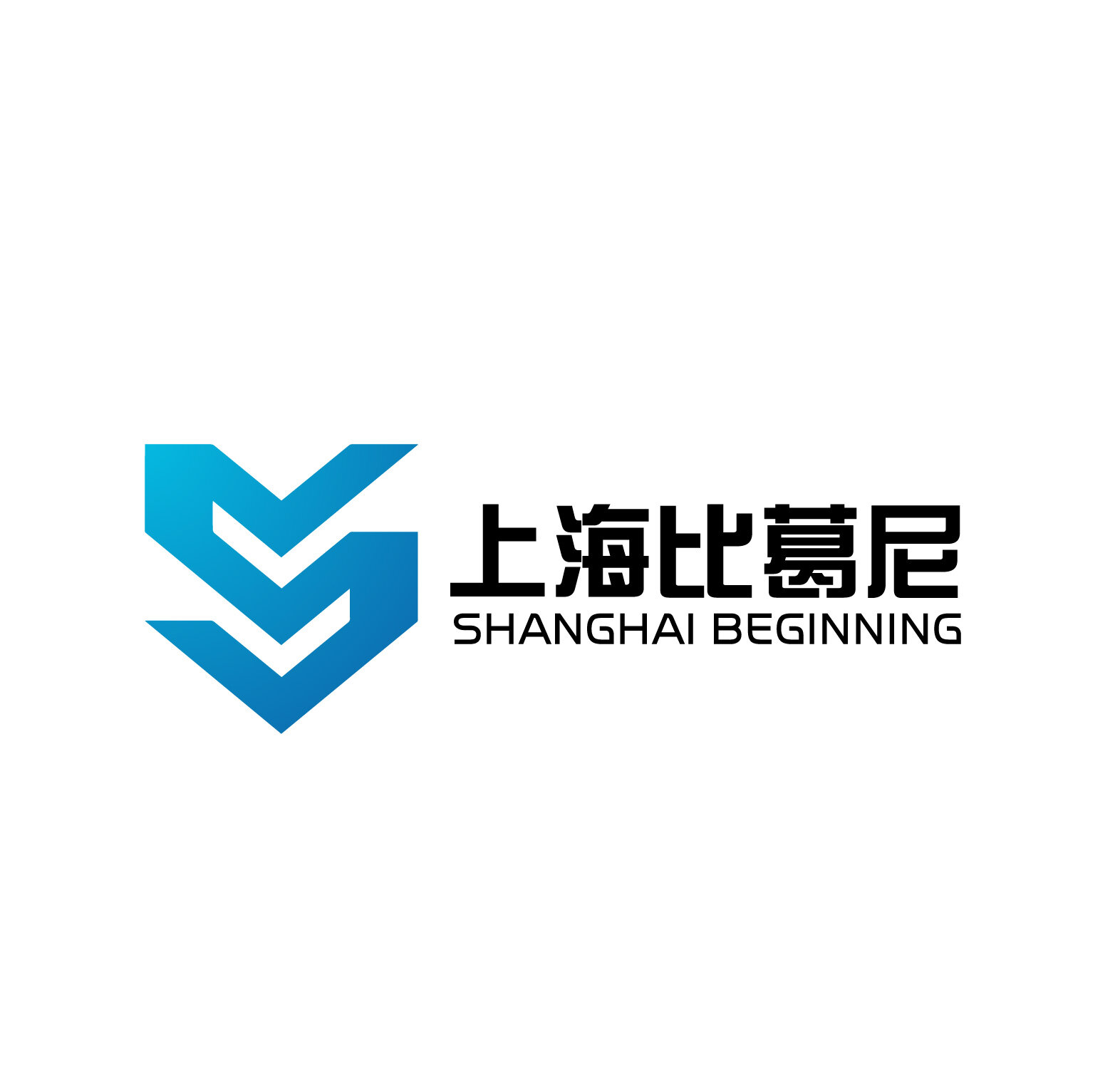 上海比葛尼电子 Logo