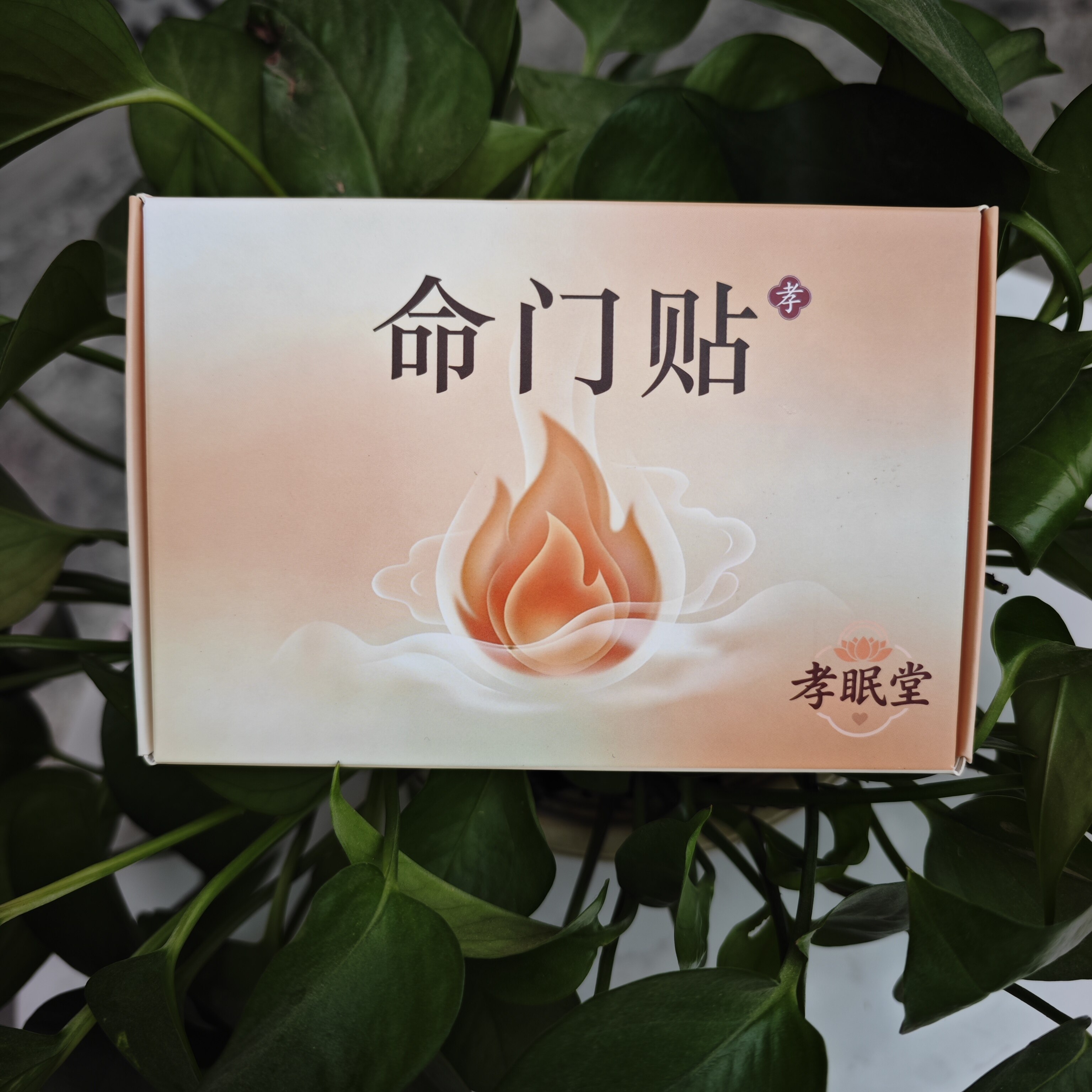 命门贴