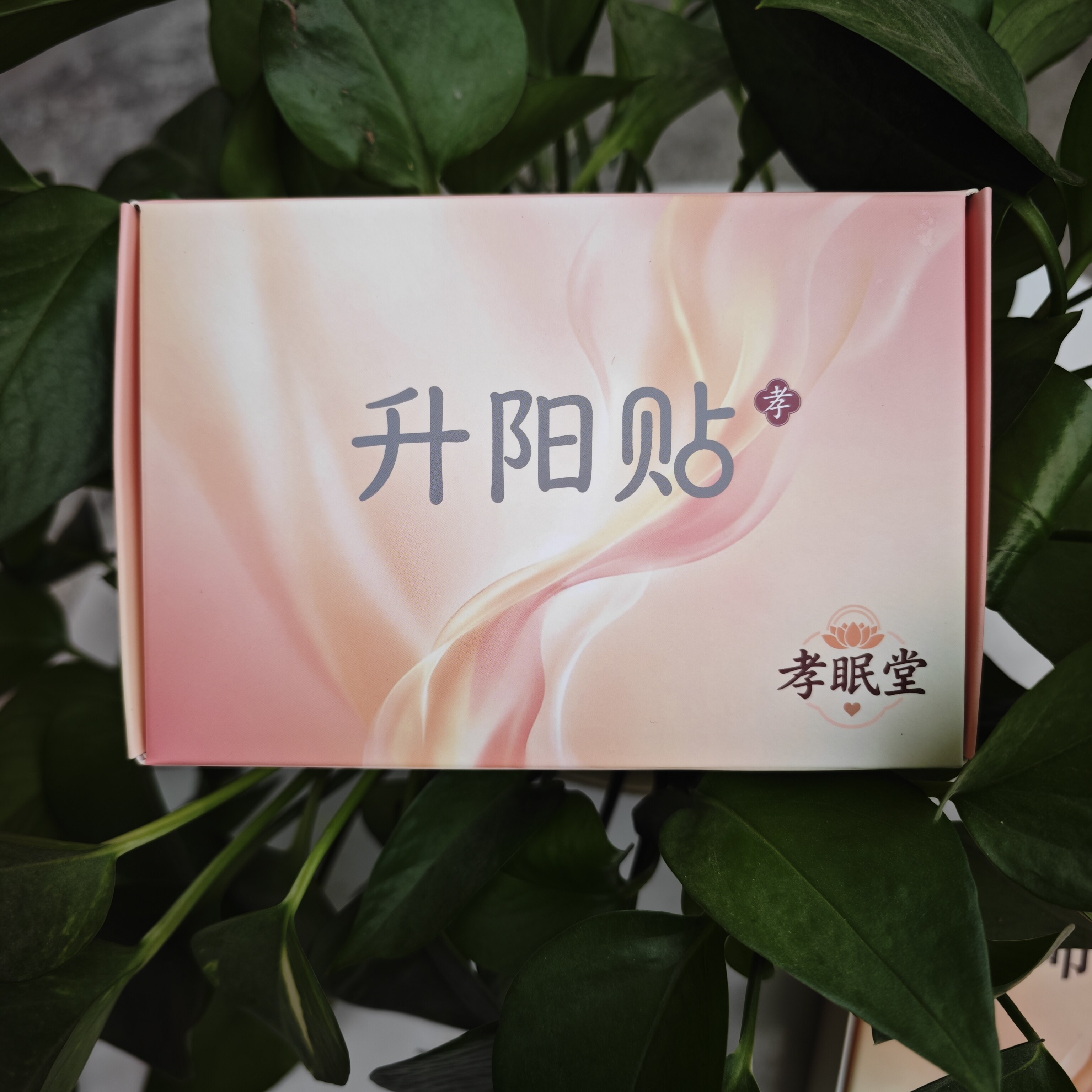 升阳贴