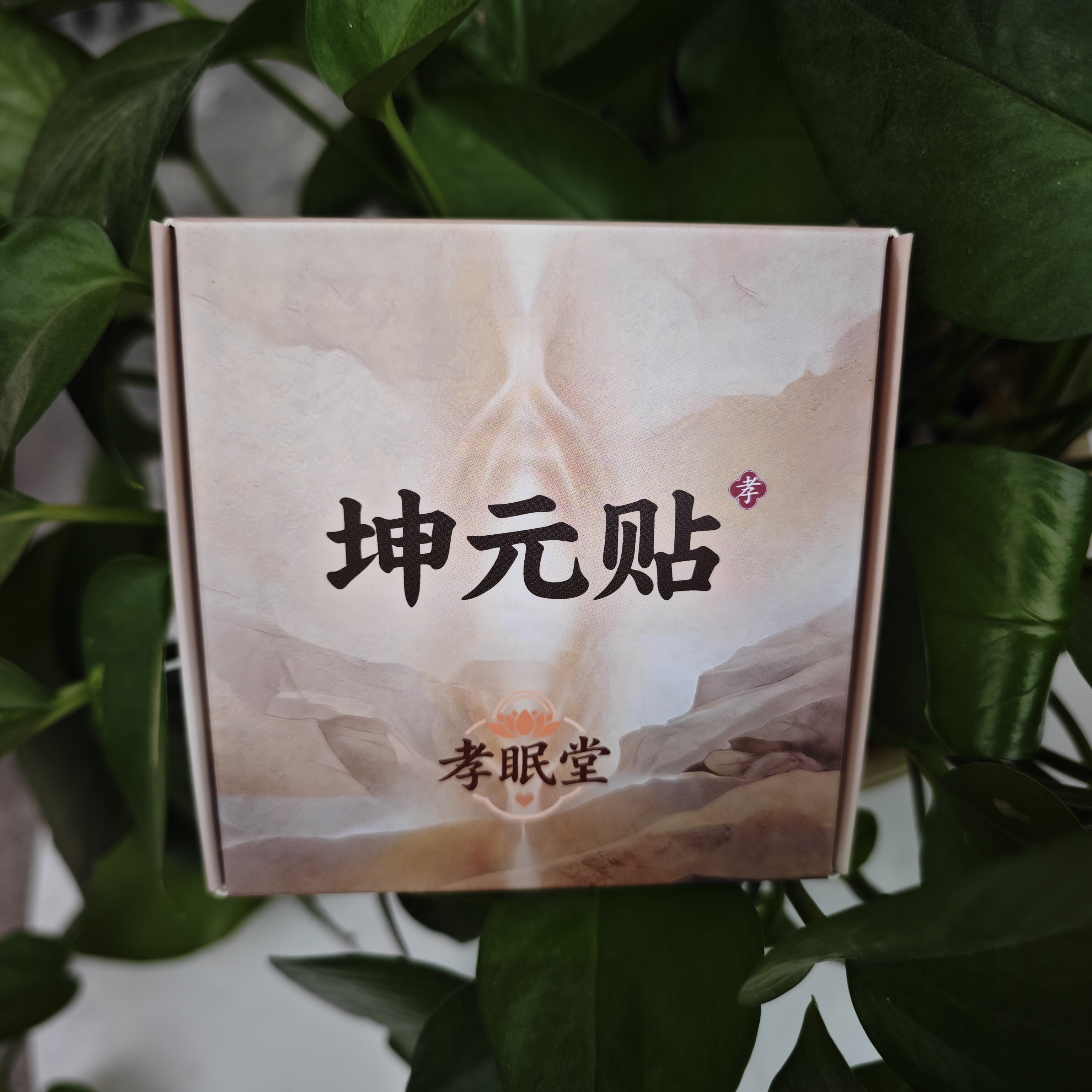 坤元贴