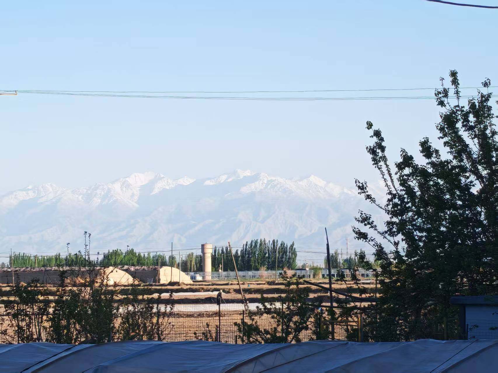 某农田摄影，背景是圣山