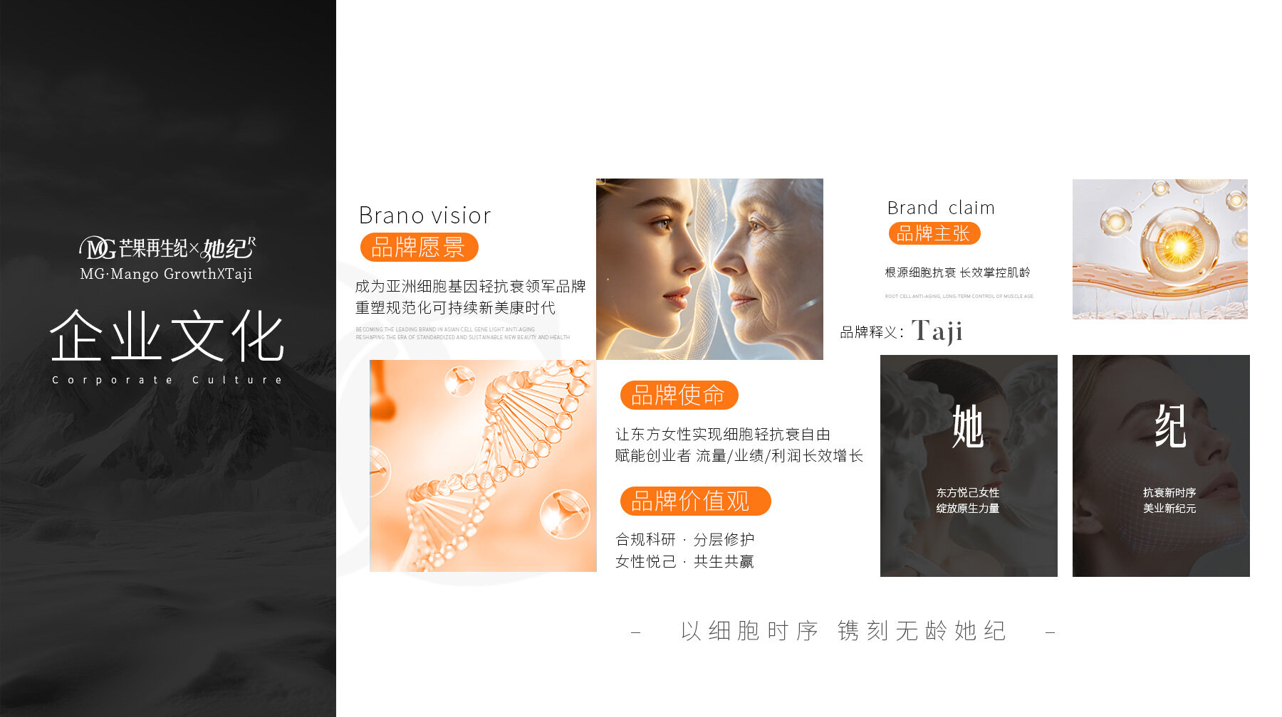 研发团队