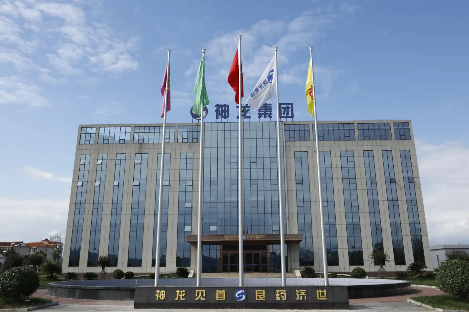 陕西神龙集团总部办公大楼
