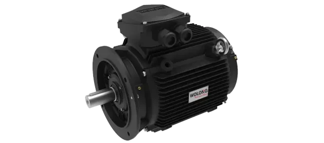 Wolong Electric Drive TYCP5 Series Low-Speed Permanent Magnet Direct-Drive Motor