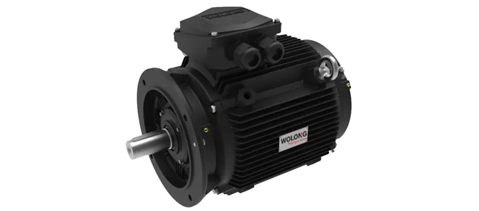 Wolong Electric Drive TYCP5 Series Low-Speed Permanent Magnet Direct-Drive Motor