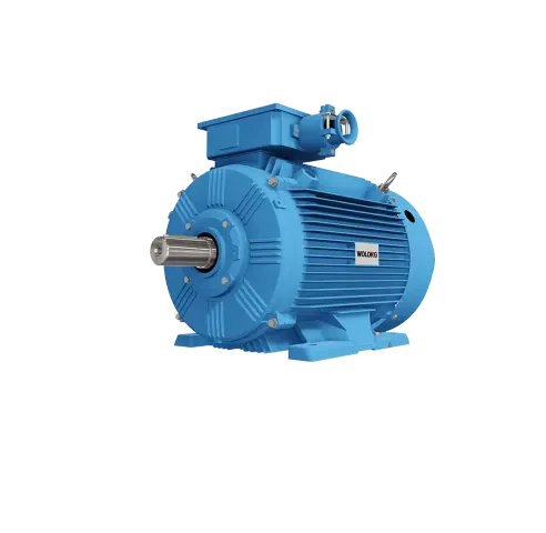 Wolong Electric Drive TYFB5 Series Dust-Ex Proof Permanent Magnet Motor