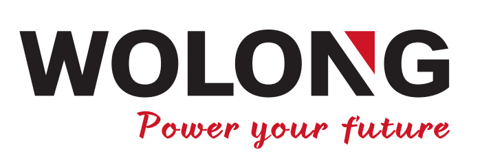 WOLONG Electrical