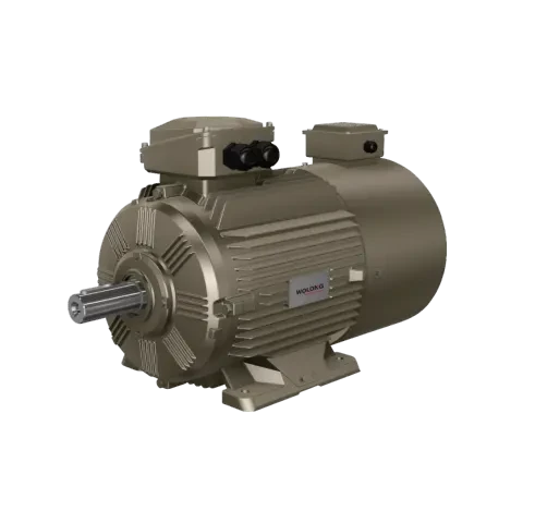 WEBP Series Variable Frequency Drive Three-Phase Asynchronous Motor