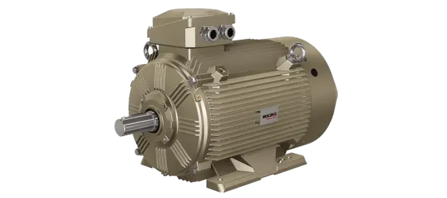 Weidong Electric Drive WEPM5 Series Variable Frequency Speed Control Permanent Magnet Synchronous Motor