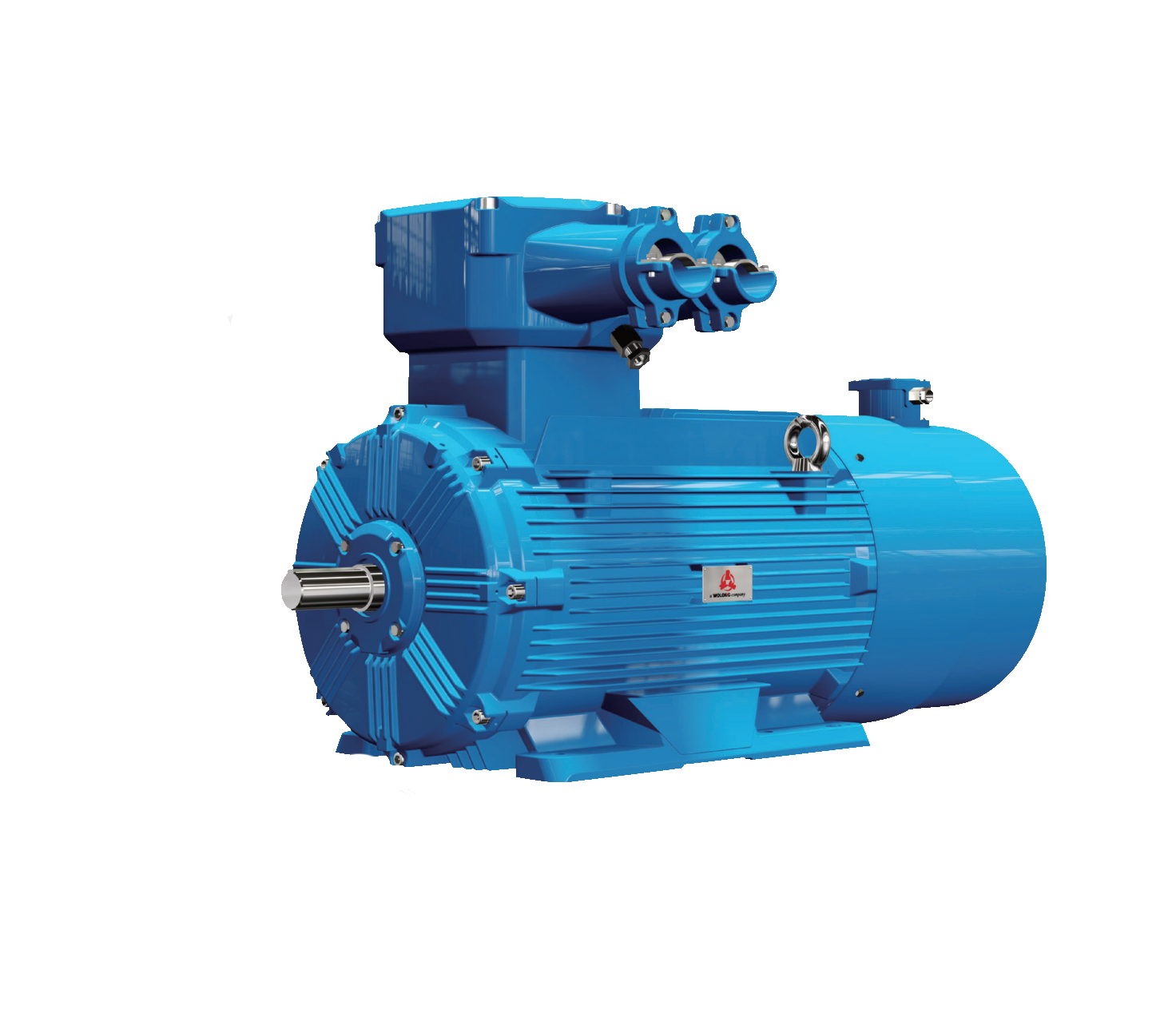YBBP Series Explosion-proof Variable-frequency Three-phase Asynchronous Motors