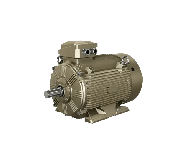 Permanent Magnet Synchronous Motor