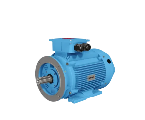 YFB4 Series High-Efficiency Dust-Explosion-Proof Three-Phase Asynchronous Motors