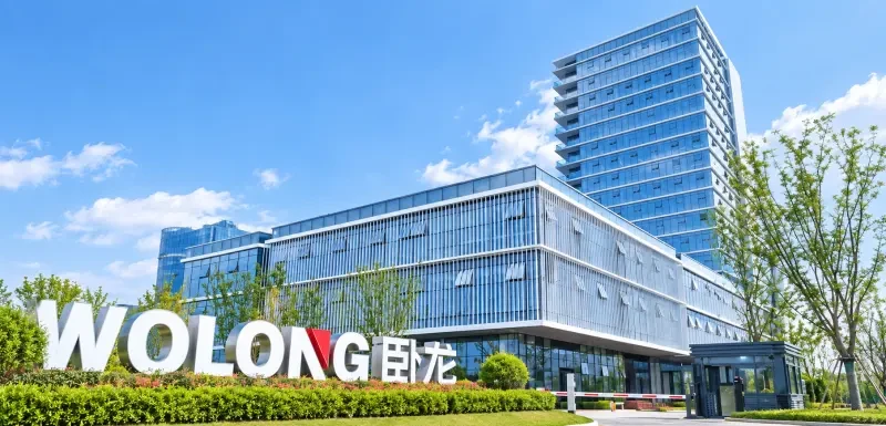 Wolong Electric Drive - Agency Brands