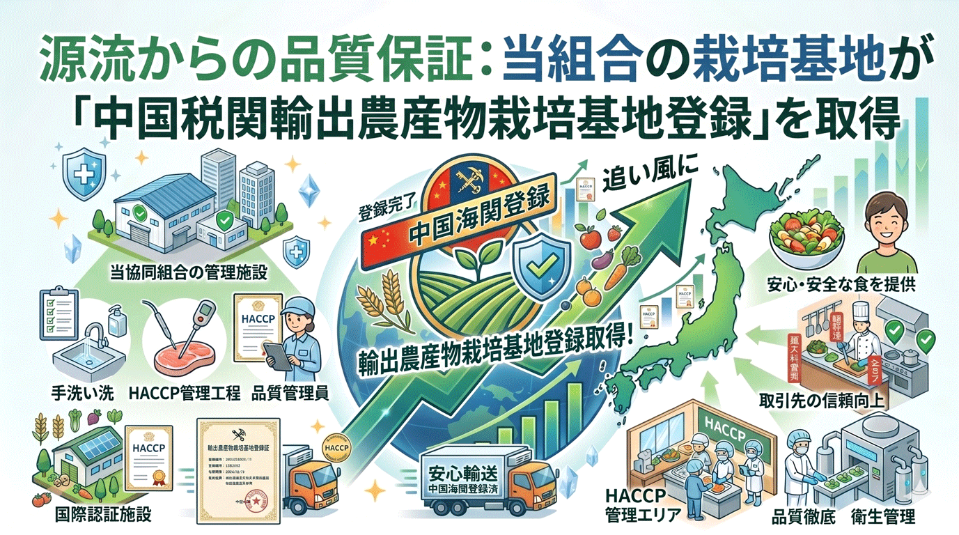 源流からの品質保証:当組合の栽培基地が「中国税関輸出農産物栽培基地登録」を取得