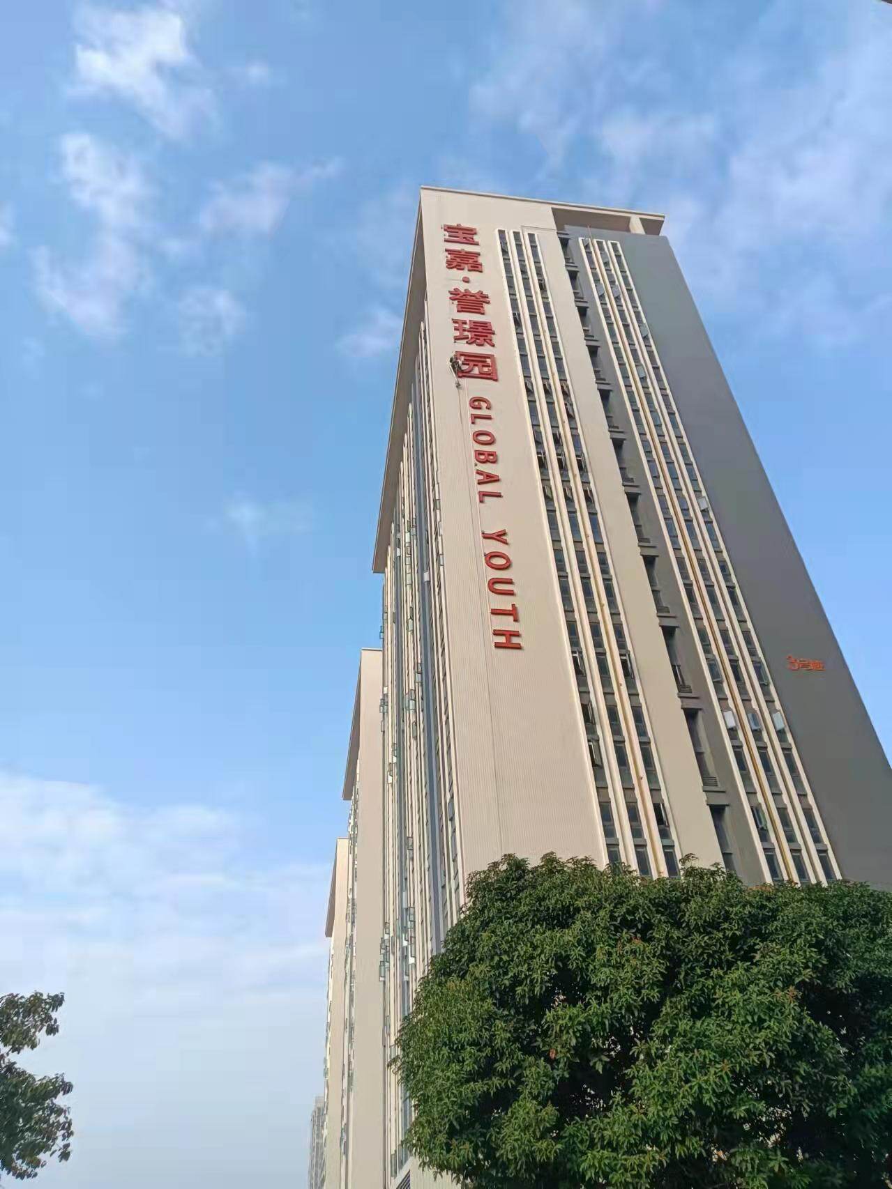 施工过程 4