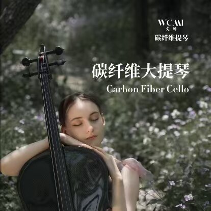 文川碳纤维大提琴CC1