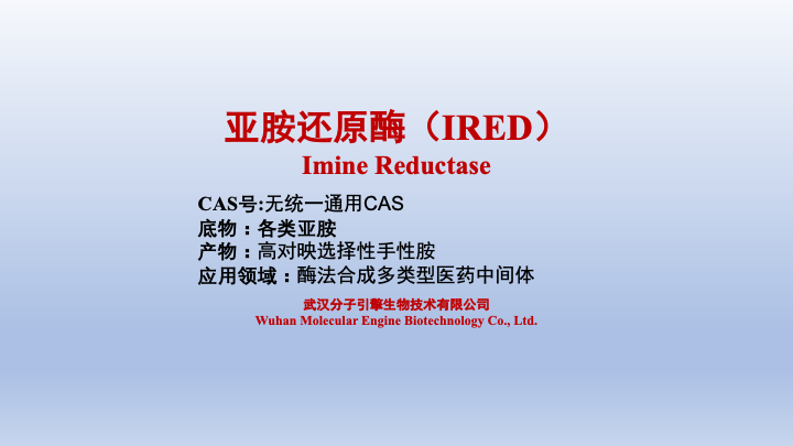 亚胺还原酶（IRED）