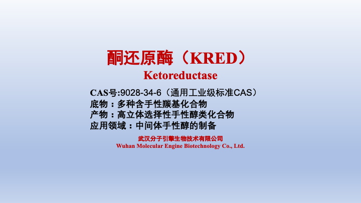 酮还原酶 (KRED)
