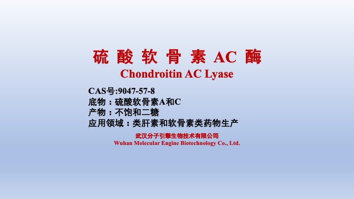 硫酸软骨素 AC 酶