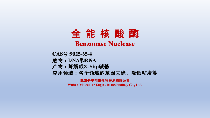 全能核酸酶