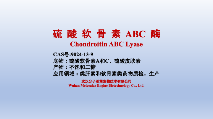 硫酸软骨素 ABC 酶