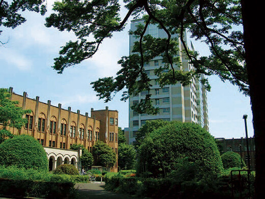 The University of Tokyo