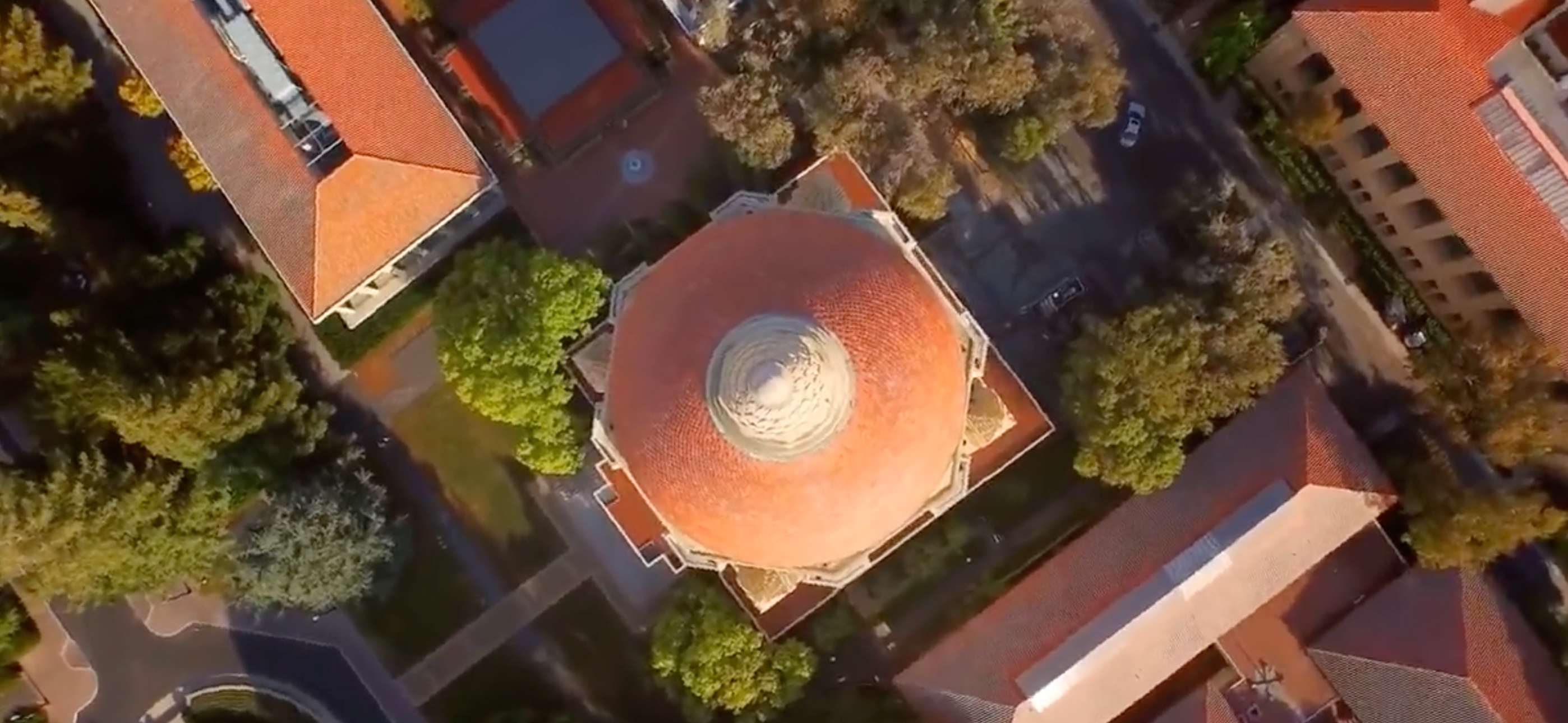 斯坦福大学