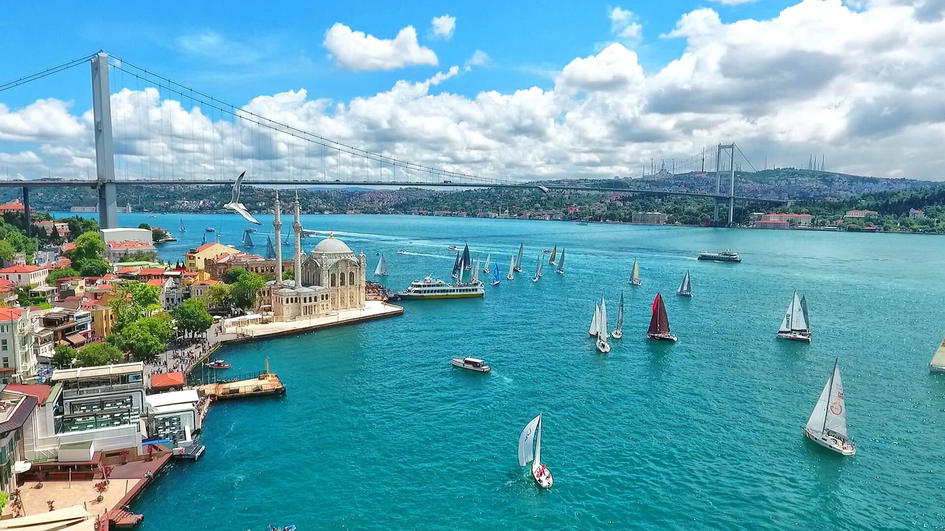 Turkey
