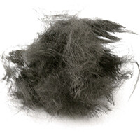 Activated Carbon Fiber (ACF)