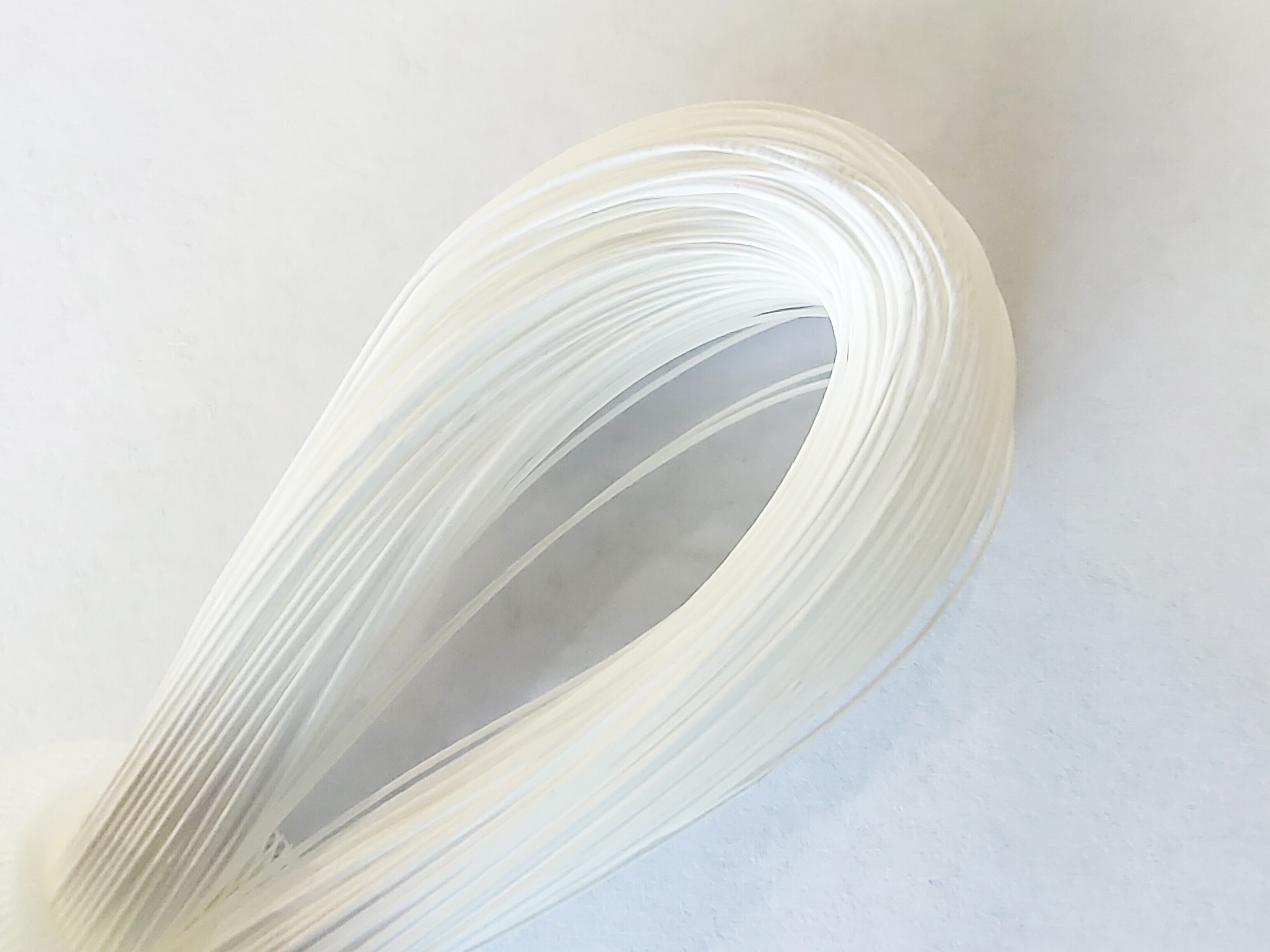 Hollow fiber membrane