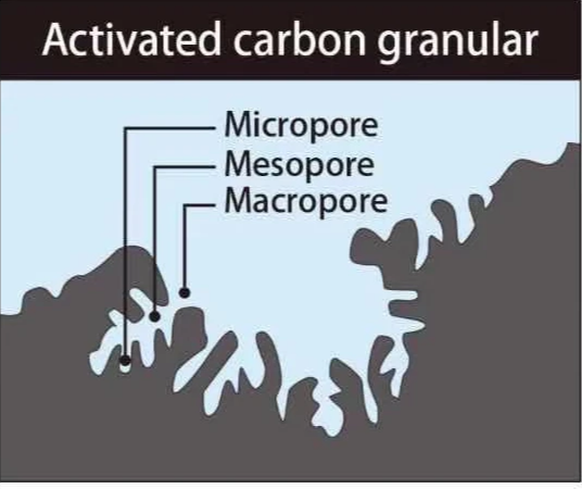Microstructural Analysis