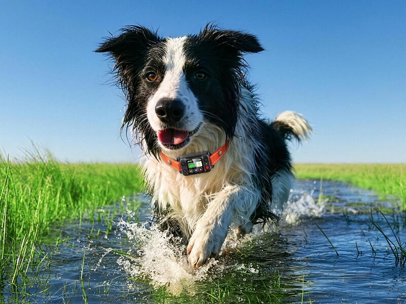 Attefine BJ560 GPS Wireless Dog Fence Collar
