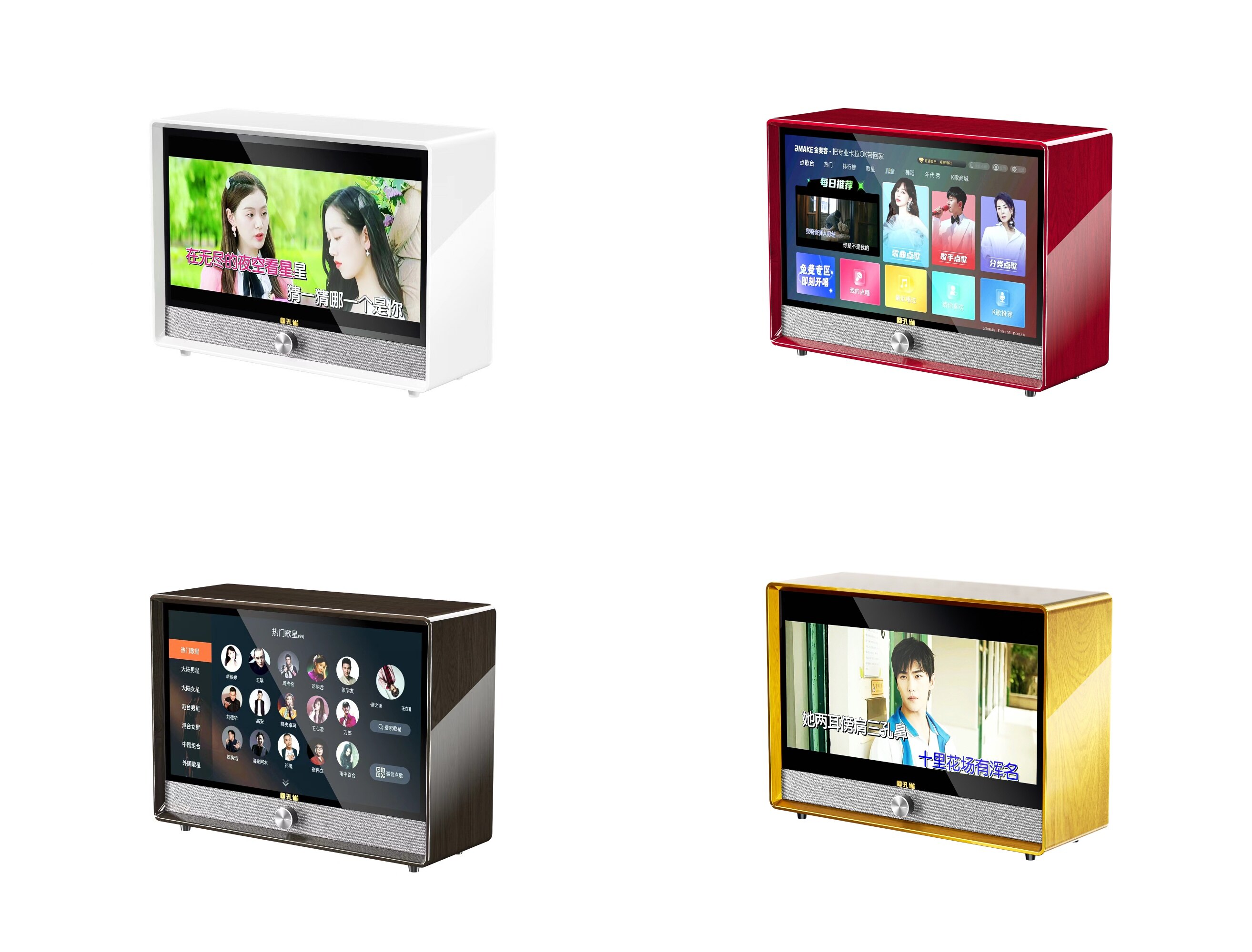 Ruihe 22-inch Smart Multifunctional Audio K-Singing Speaker