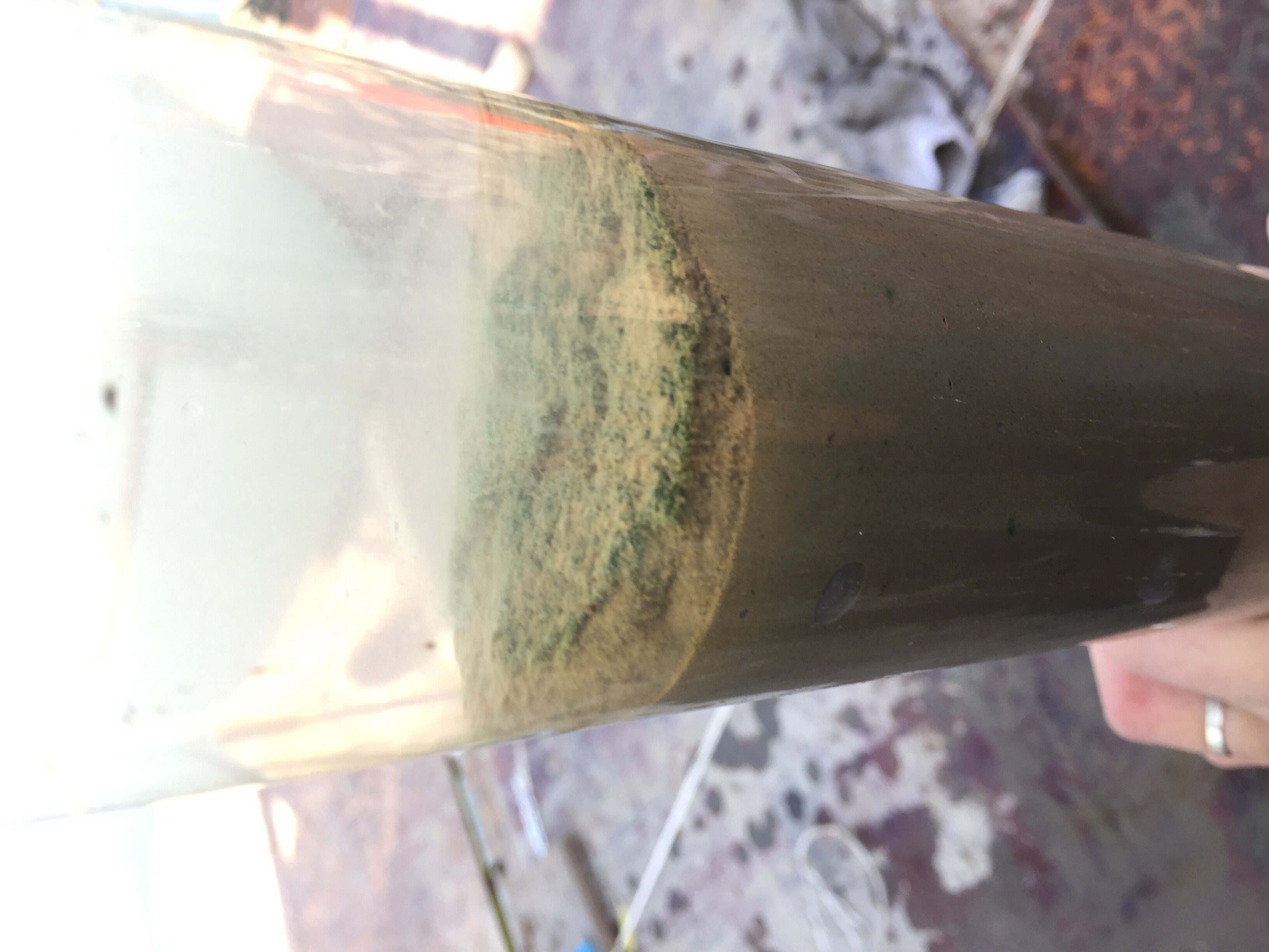 航道清淤采样调查项目 - 缩略图3