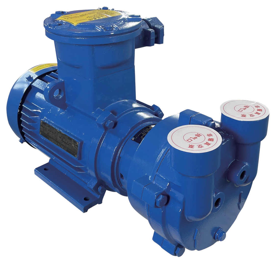 2BV Series (2BV5/2BV2/2BV6) 2BV Water Ring Vacuum Pump
