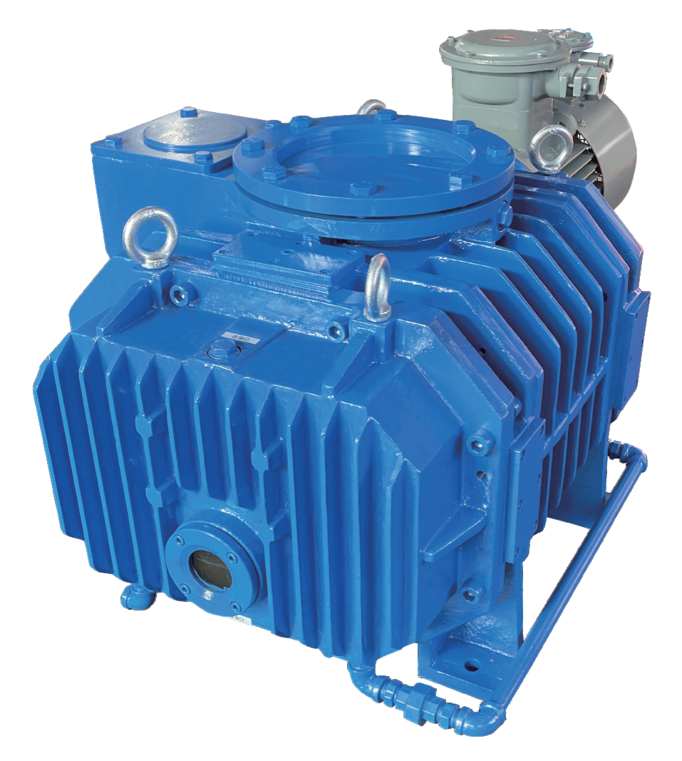 RW Series Roots Vacuum Pump for Industrial Applications